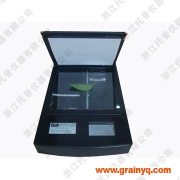 ���w�~��e�y���x