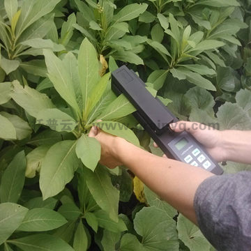 �ֳֻ��w�~��e�y���x